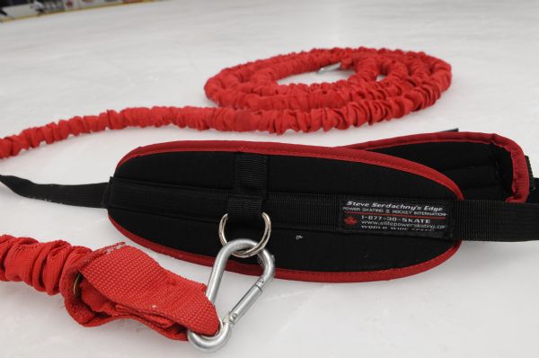 Edge Pro Bungee Cord